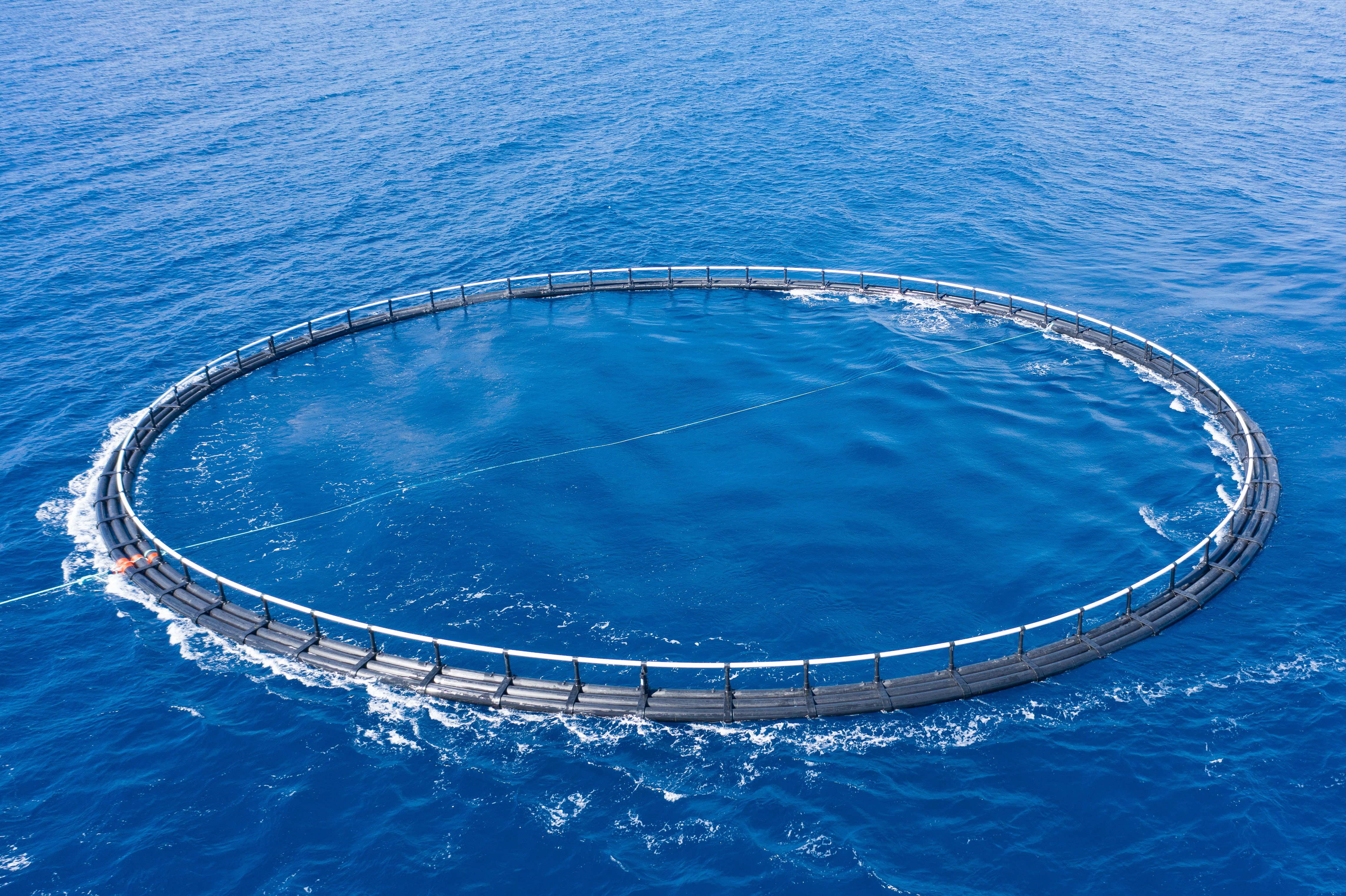 Overhead view of circular aquaculture sea cages in open water used for environmental data monitoring.