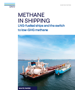 Thumbnail Methane White paper