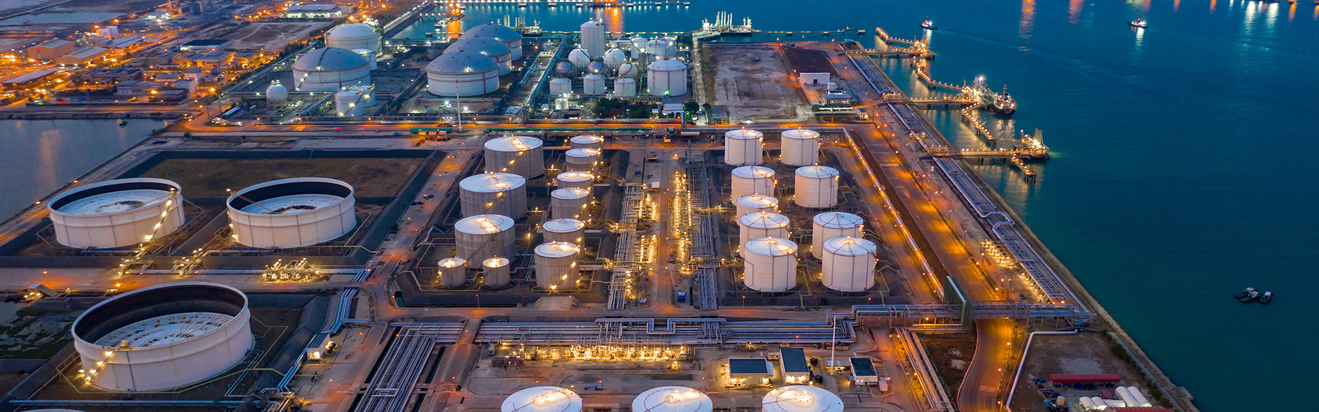 Asia Pacific's clean hydrogen future: diverging pathways, shared challenges