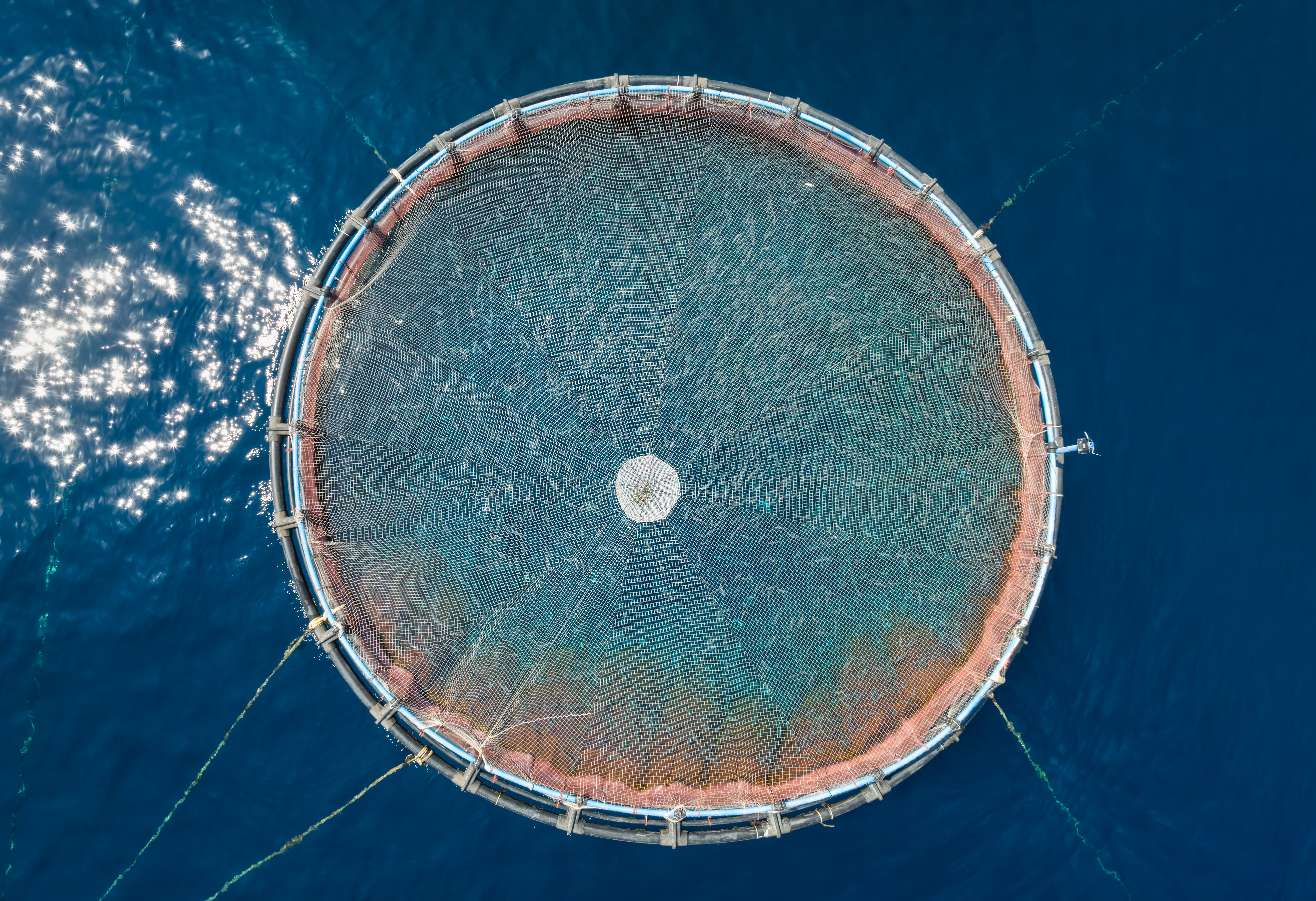 Offshore aquaculture cage monitored for ocean dynamics and environmental modelling