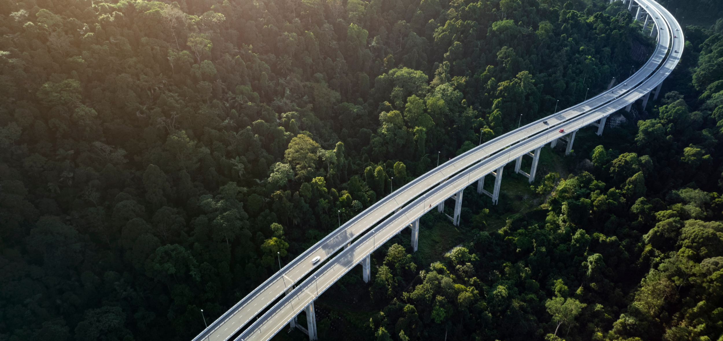 road overhead