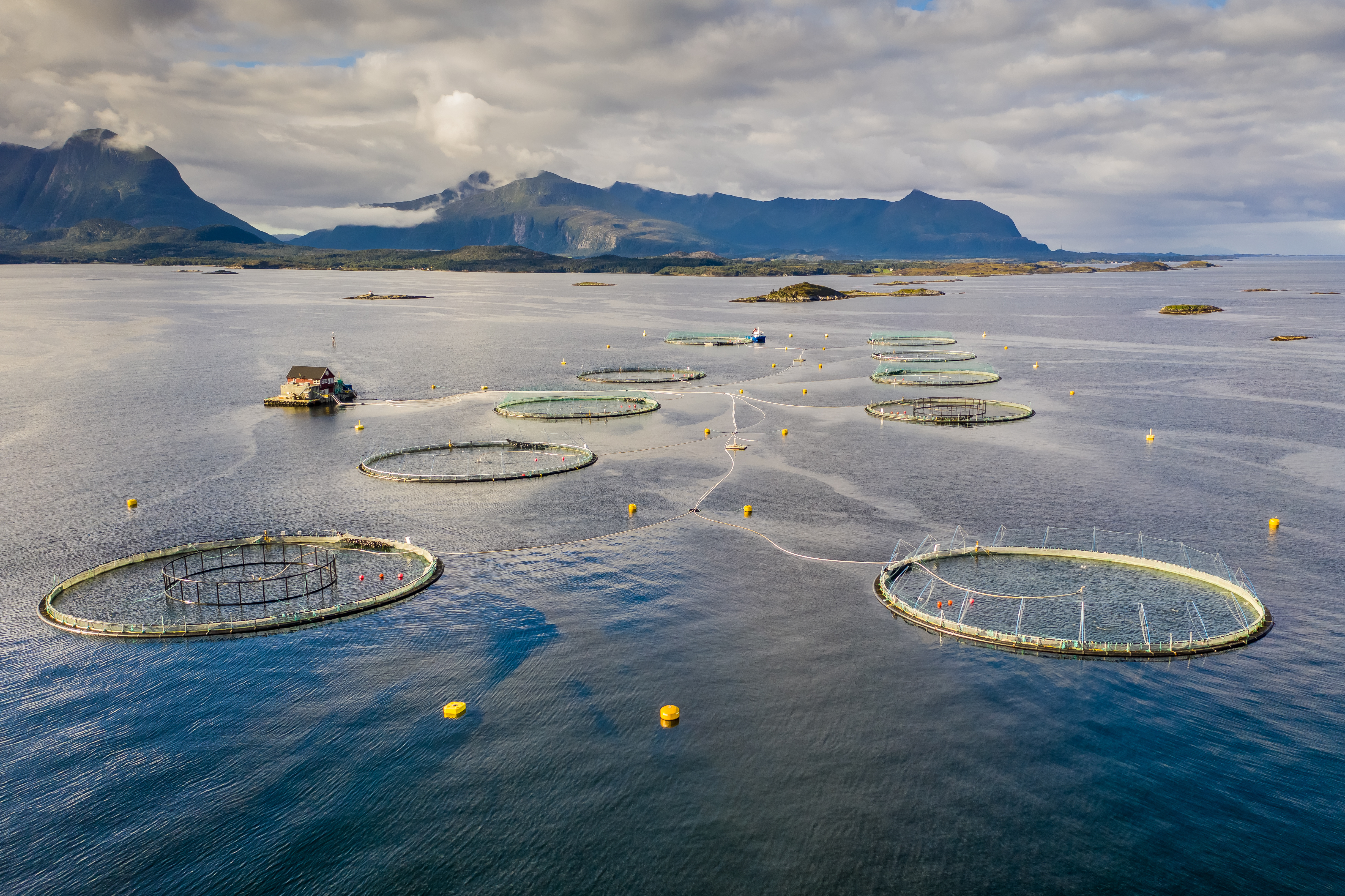 Aerial view of circular marine aquaculture pens in a coastal environment used for site feasibility evaluation