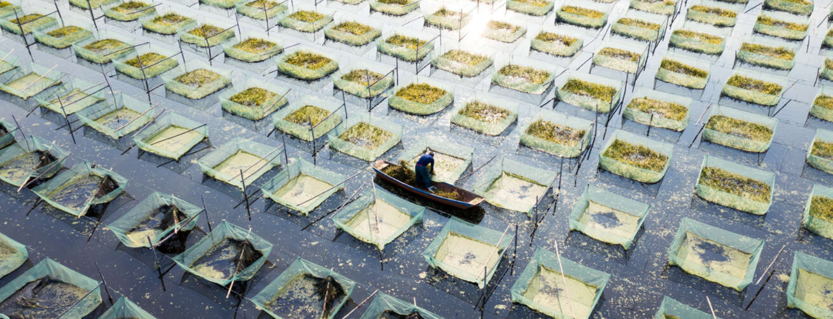 oversiktsbilde av akvakultur