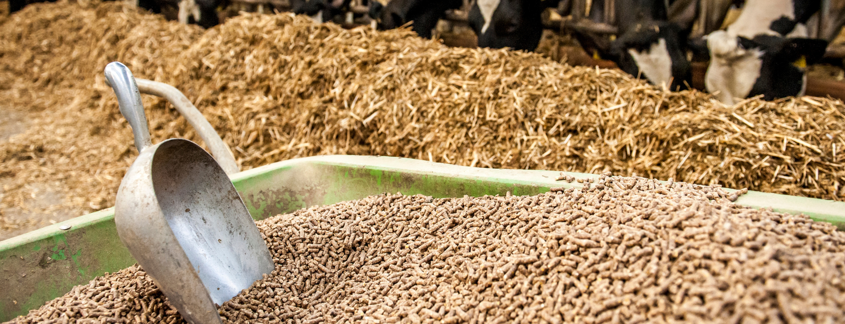 Besøk nettsiden for GLOBAL G.A.P