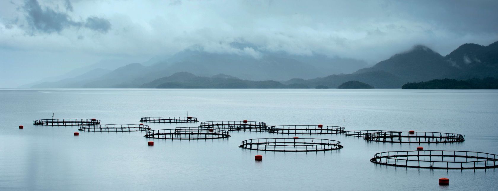 Endringskurs ASC-standarden 2025-versjon