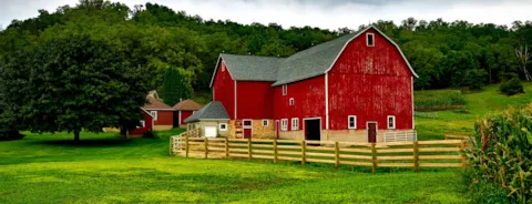 Animal feed and ingredients GMPPDV and FAMI QS