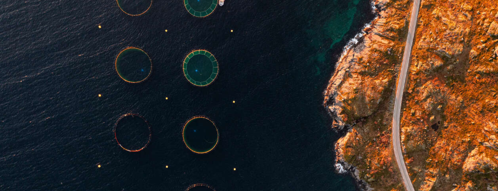 Oppdrettsanlegg ved vei