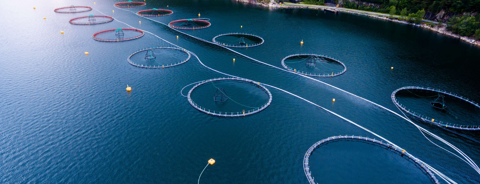 Praktisk risikovurdering - Akvakultur