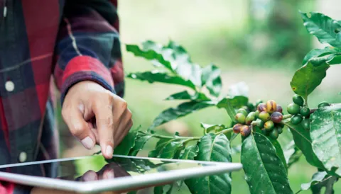 Miljøledelse ISO 14001: Påbygning