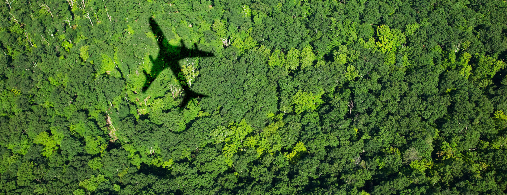 Helhetlig leverandøroppfølging