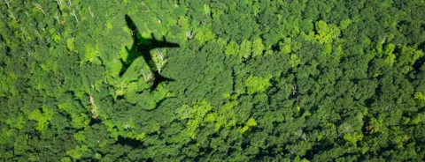 fly over grønn skog