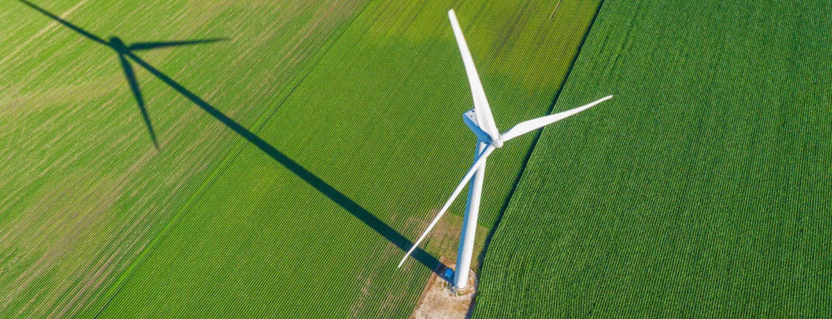 E-læring | Hvordan bruke FNs bærekraftsmål i din strategi  