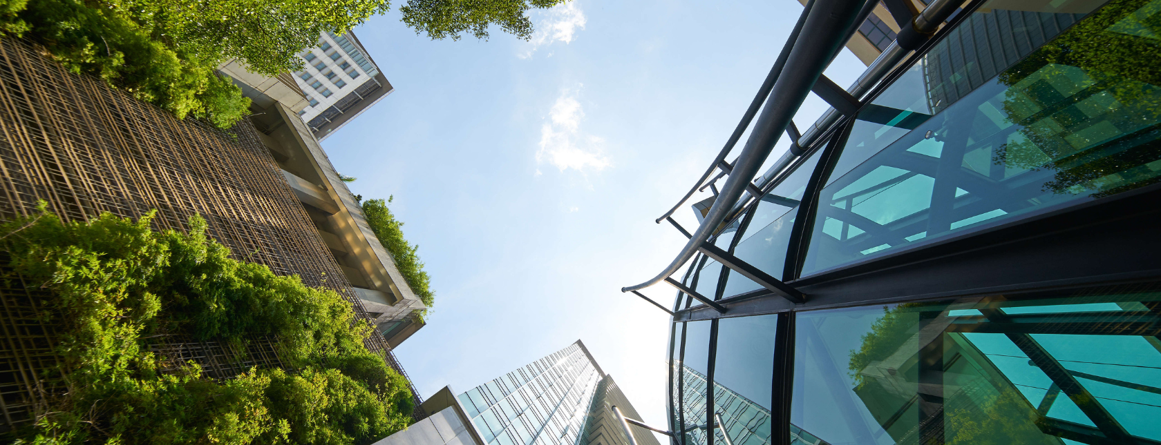 grønn og glass bygning