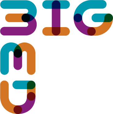 BigMed logo