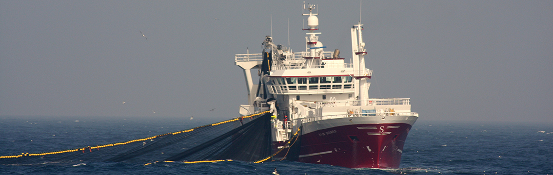 Kvalitetsmerket SKREI