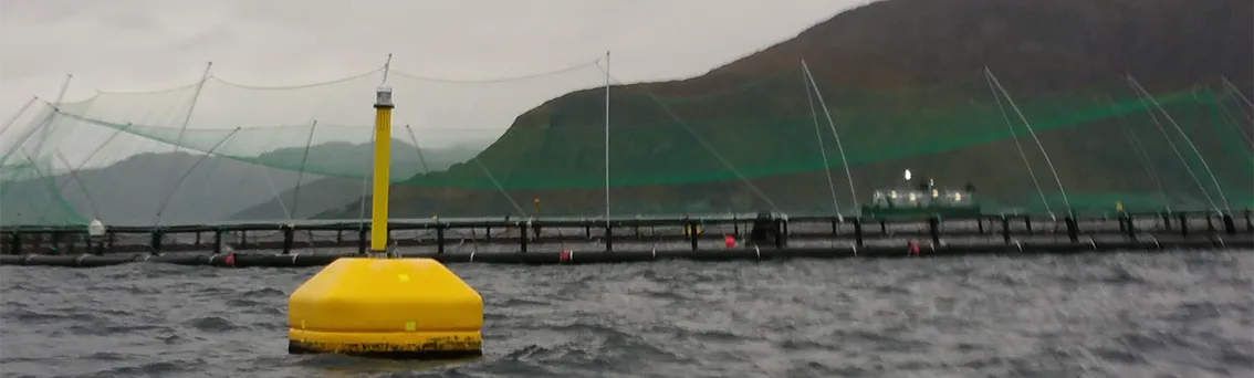 Yellow buoy in front of a fish farm