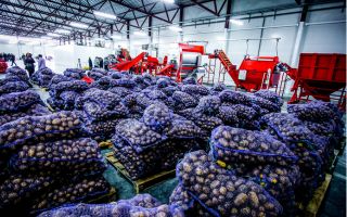 IFS Wholesale og Cash & Carry (C&C)