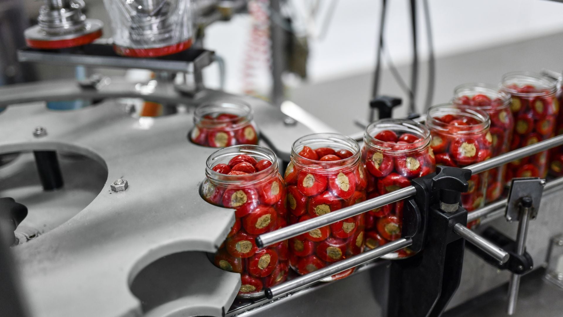 What is the difference between HACCP and ISO 22000?