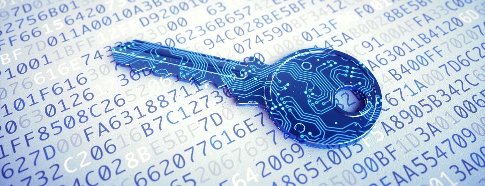 Kompetanseløp i cyberforsvar