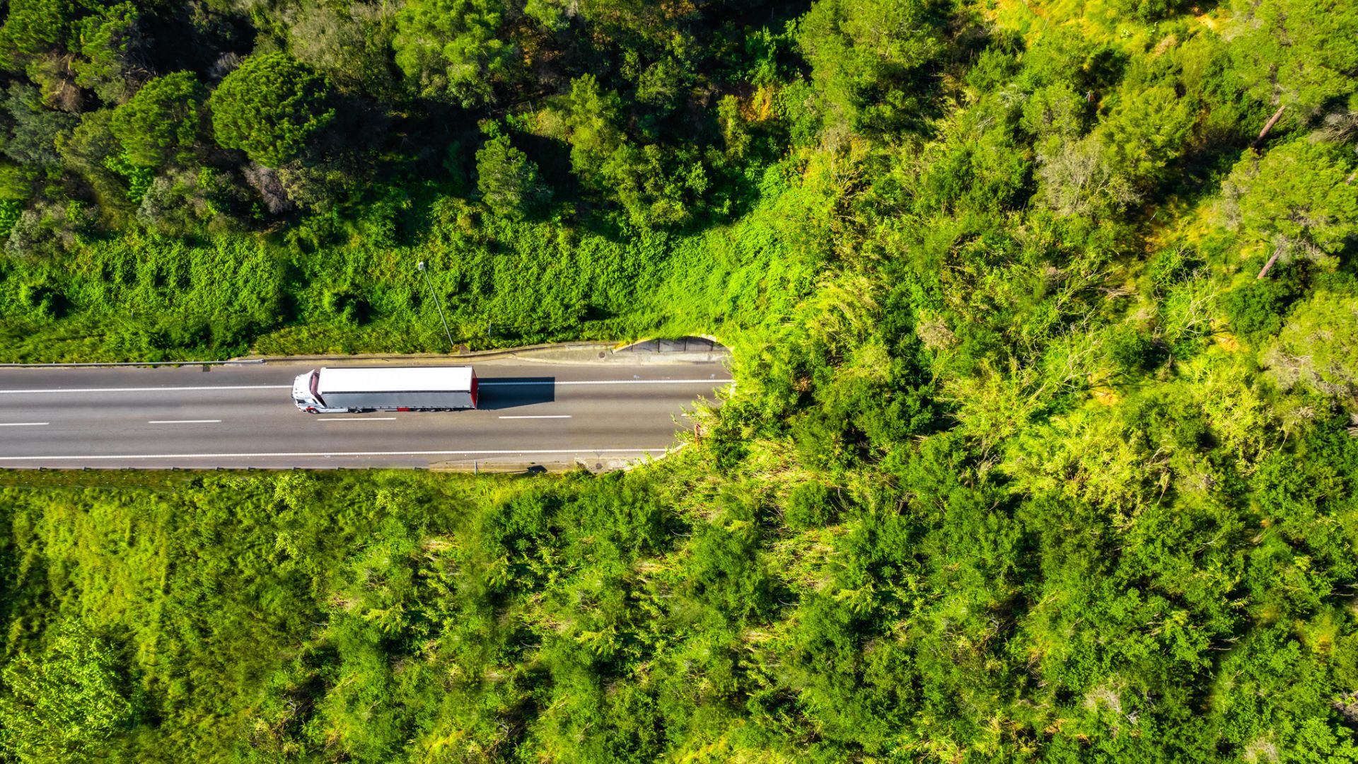 Grønn transportkorridor med vegetasjon og semitrailer