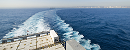 Ballast water management (BWM) and biofouling