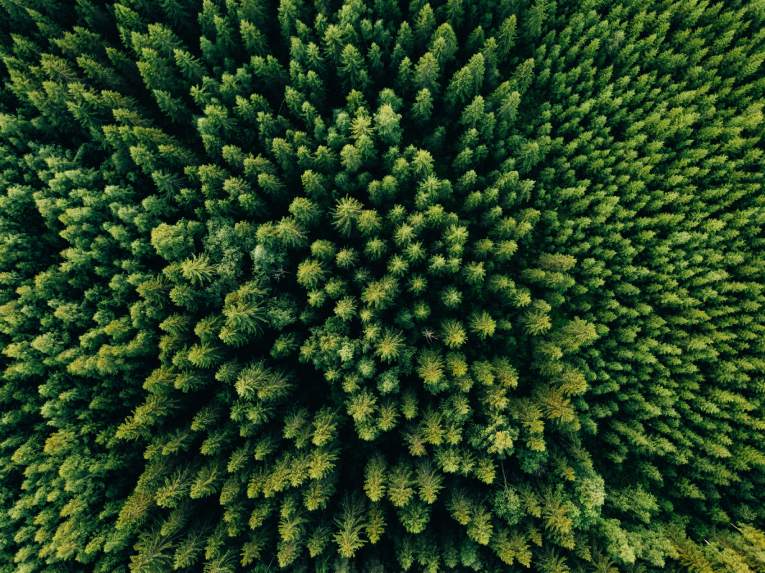 Deforestation-free Products Regulation