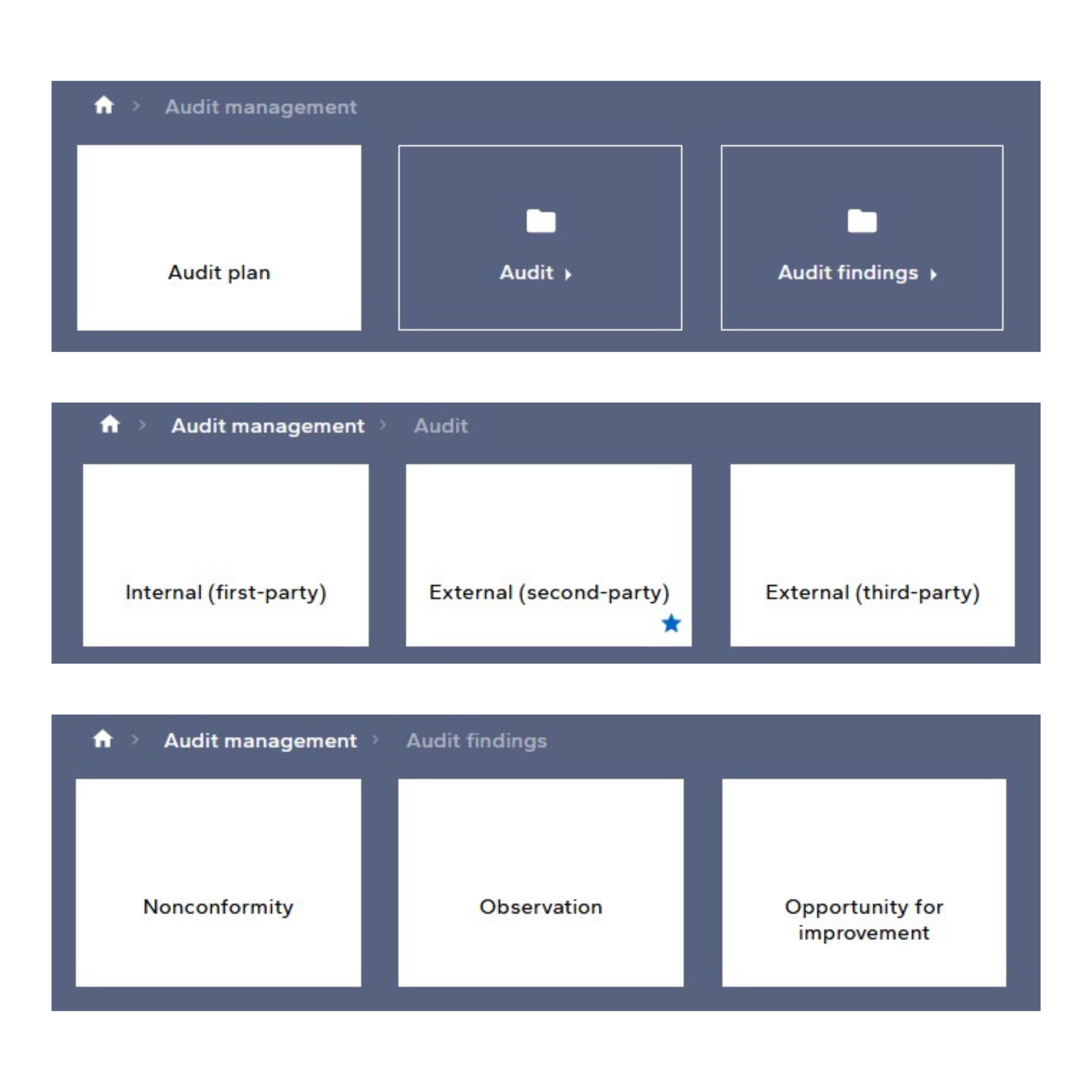 audit management structure with Synergi Life software