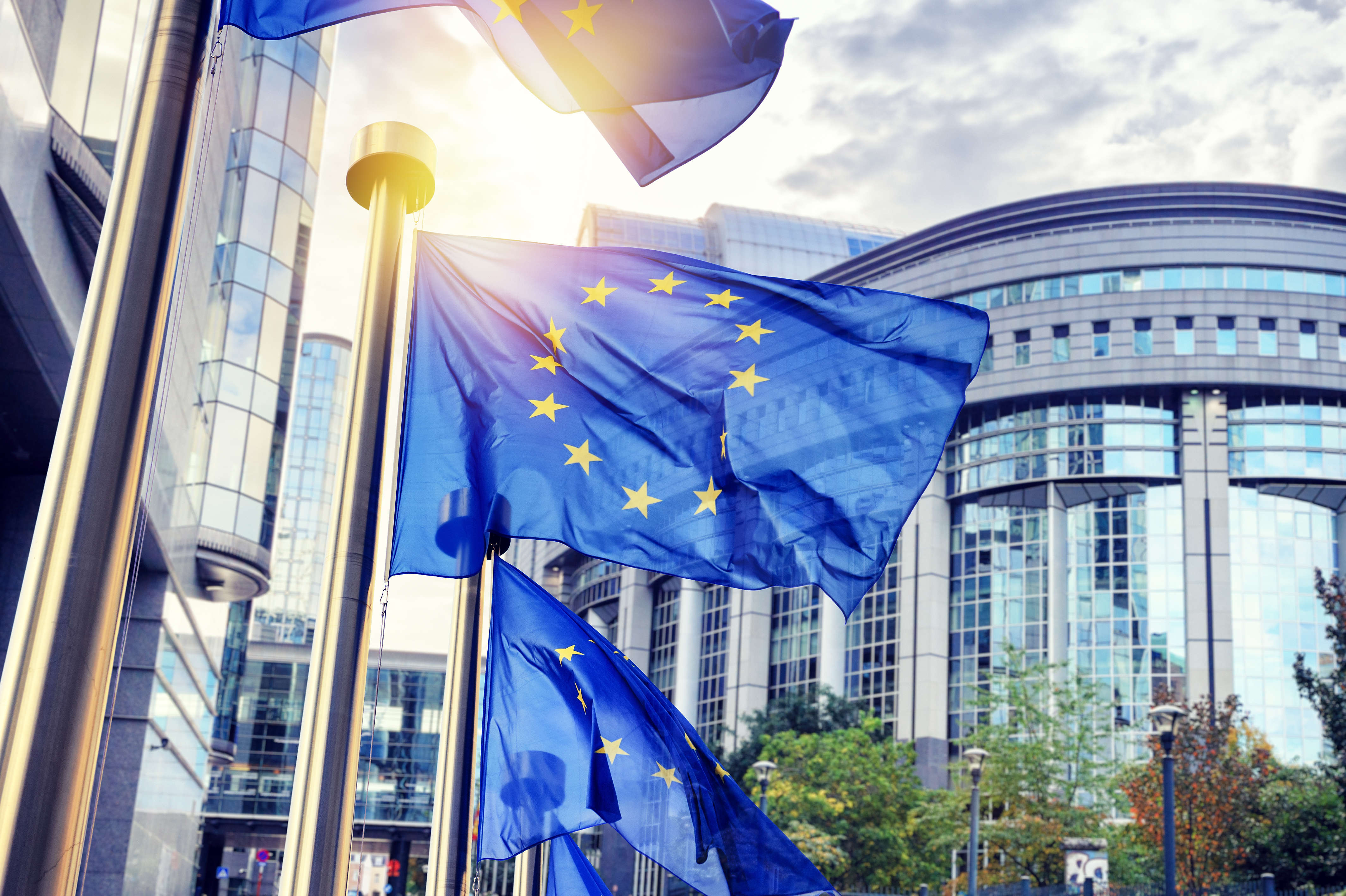 NIS2 Directive: Compliance risk or cybersecurity opportunity?