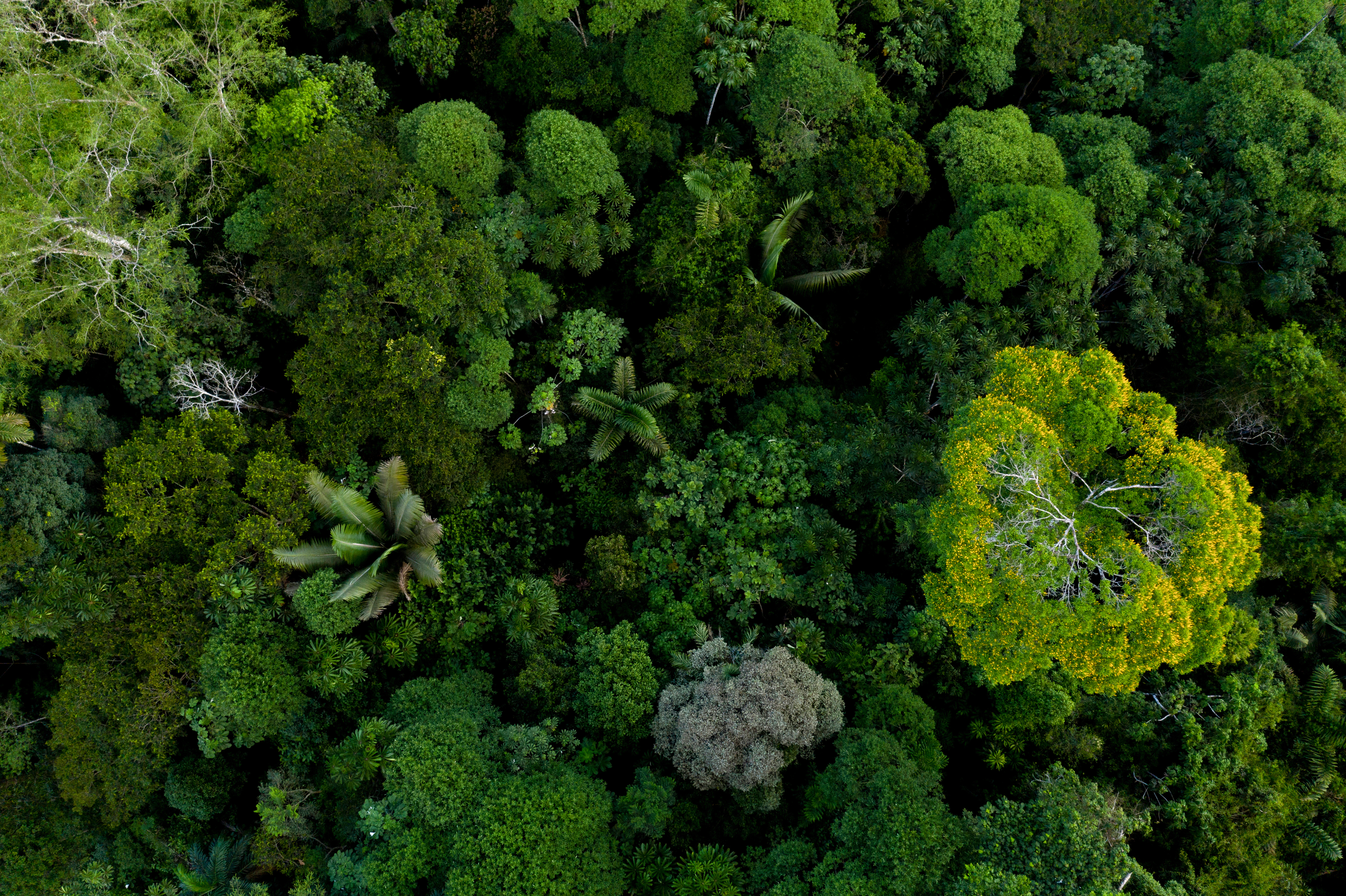 ESG and sustainability