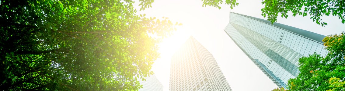 Corporate Sustainability Reporting Directive