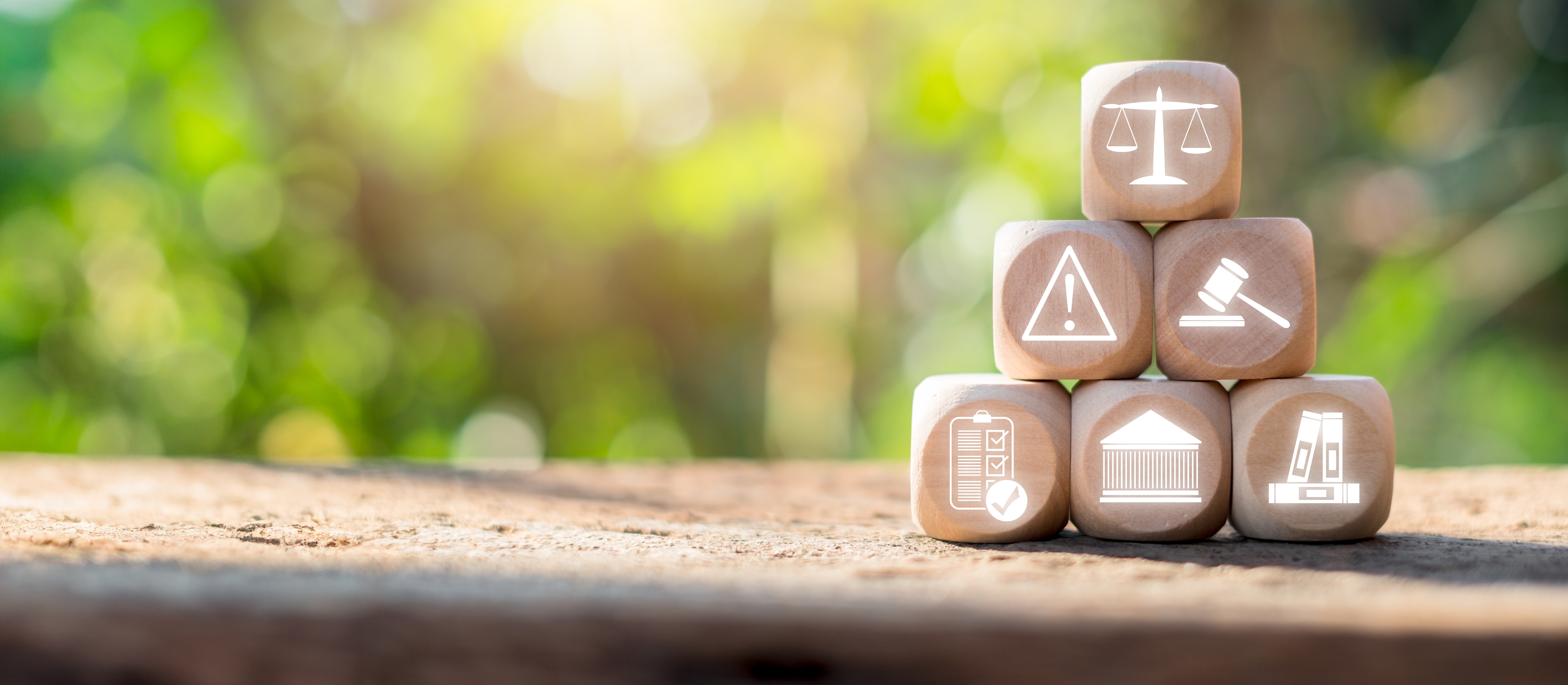 ESG governance