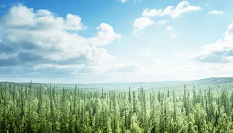 Engelsk | ISO 50001:2018 Internrevisorkurs