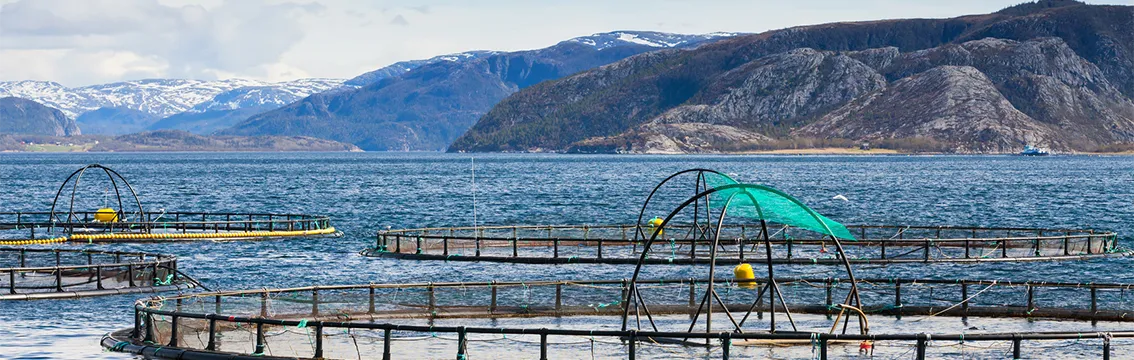 Fish farm in north of Norway