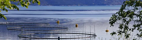 Fish farm on the west coast