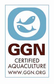 GGN logo