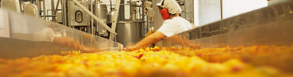 FSMA Preventive Controls for Human Food Course