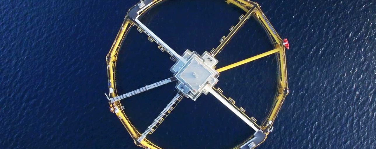 New marine aquaculture forecast: Offshore and onshore technologies gaining traction