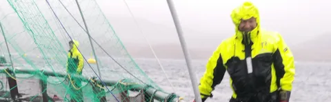 Inspecting the fish farm 1134x300