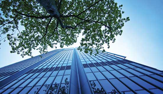 ISO 14001: Miljøledelse