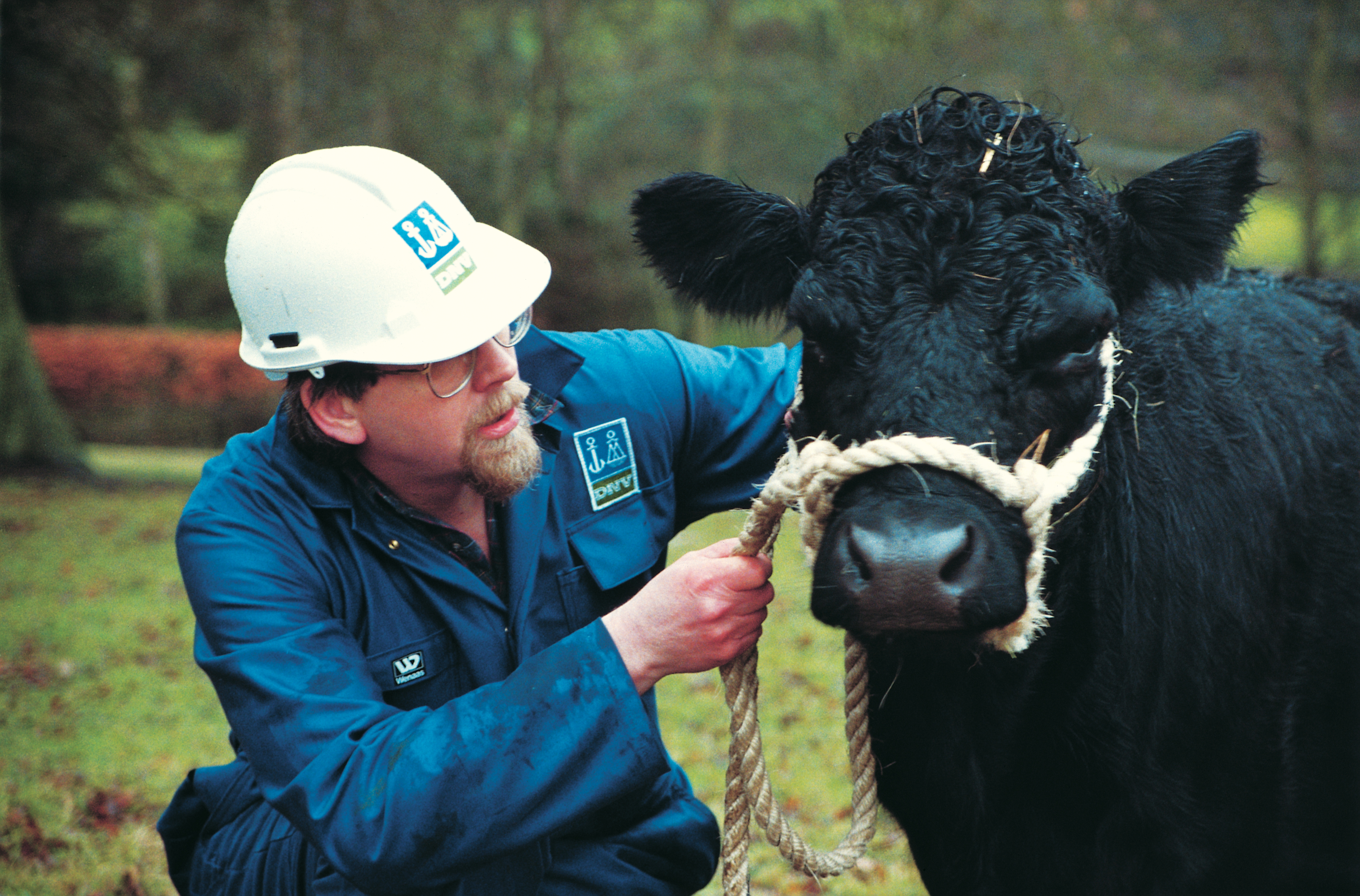 Miljø Due Diligence