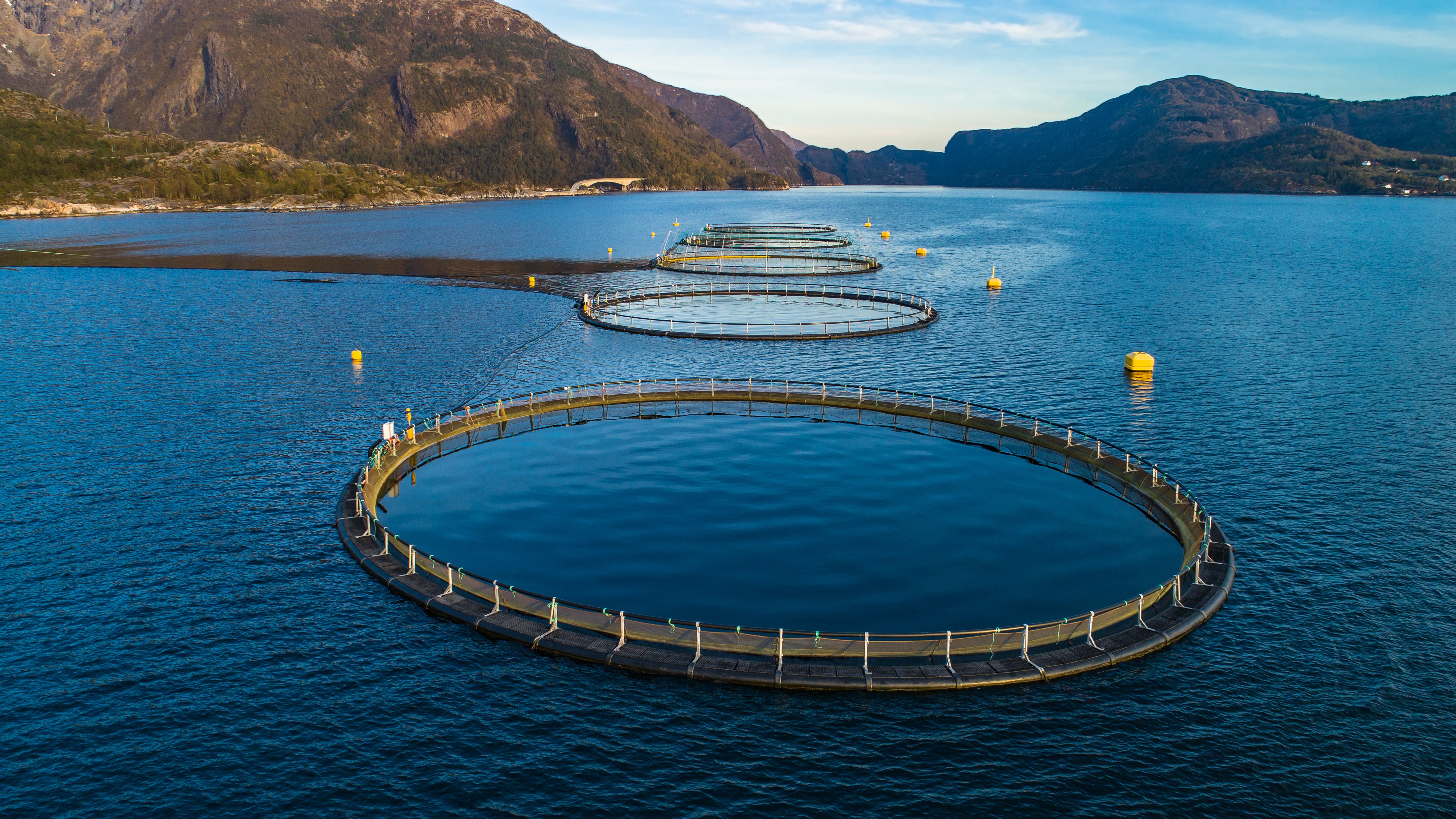 Overhead view of an offshore aquaculture fish farm surrounded by ocean waters, representing sustainable biosecurity and sea lice management practices