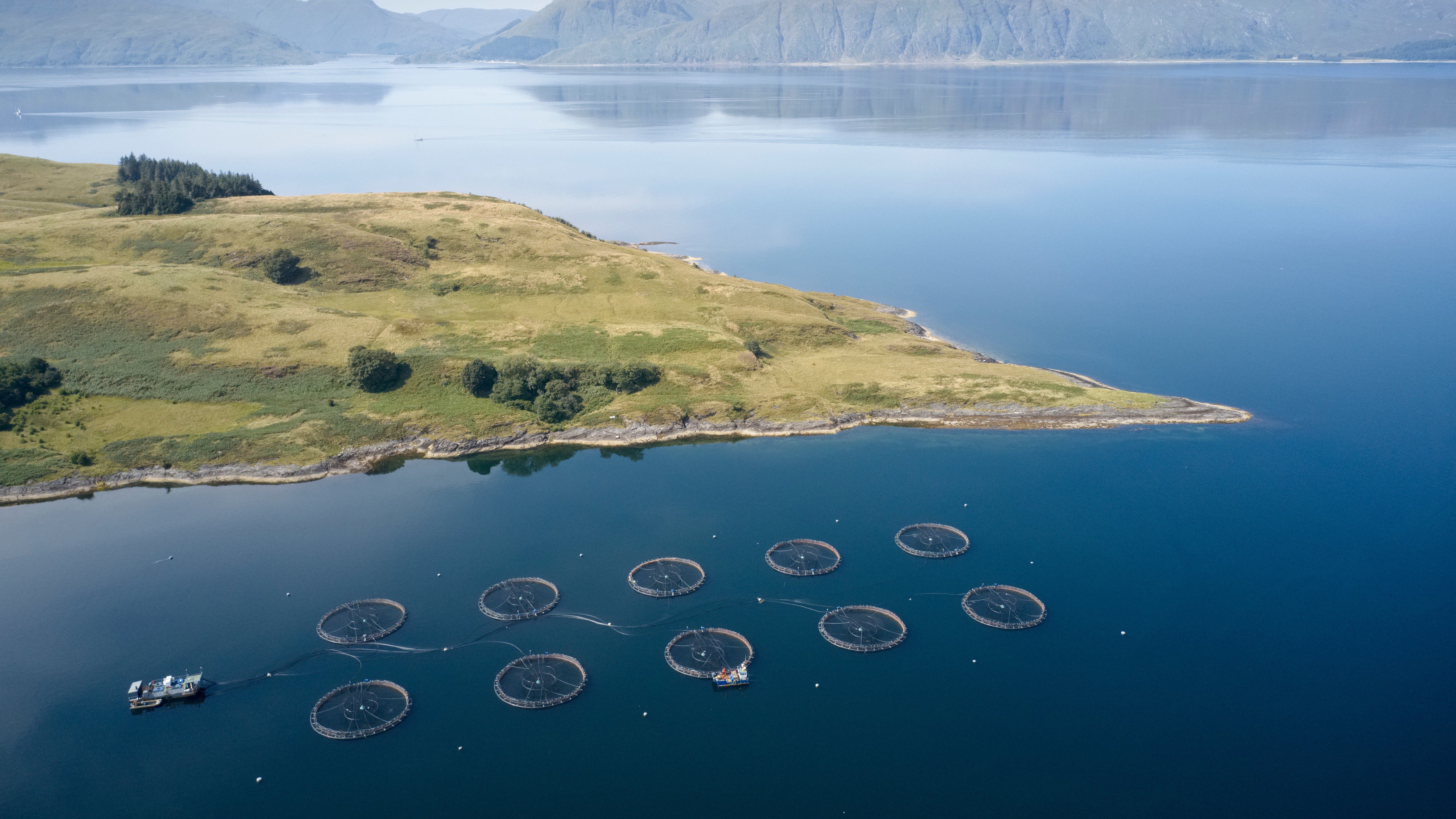 Habitatkartlegging for marine, ferskvanns- og terrestriske områder