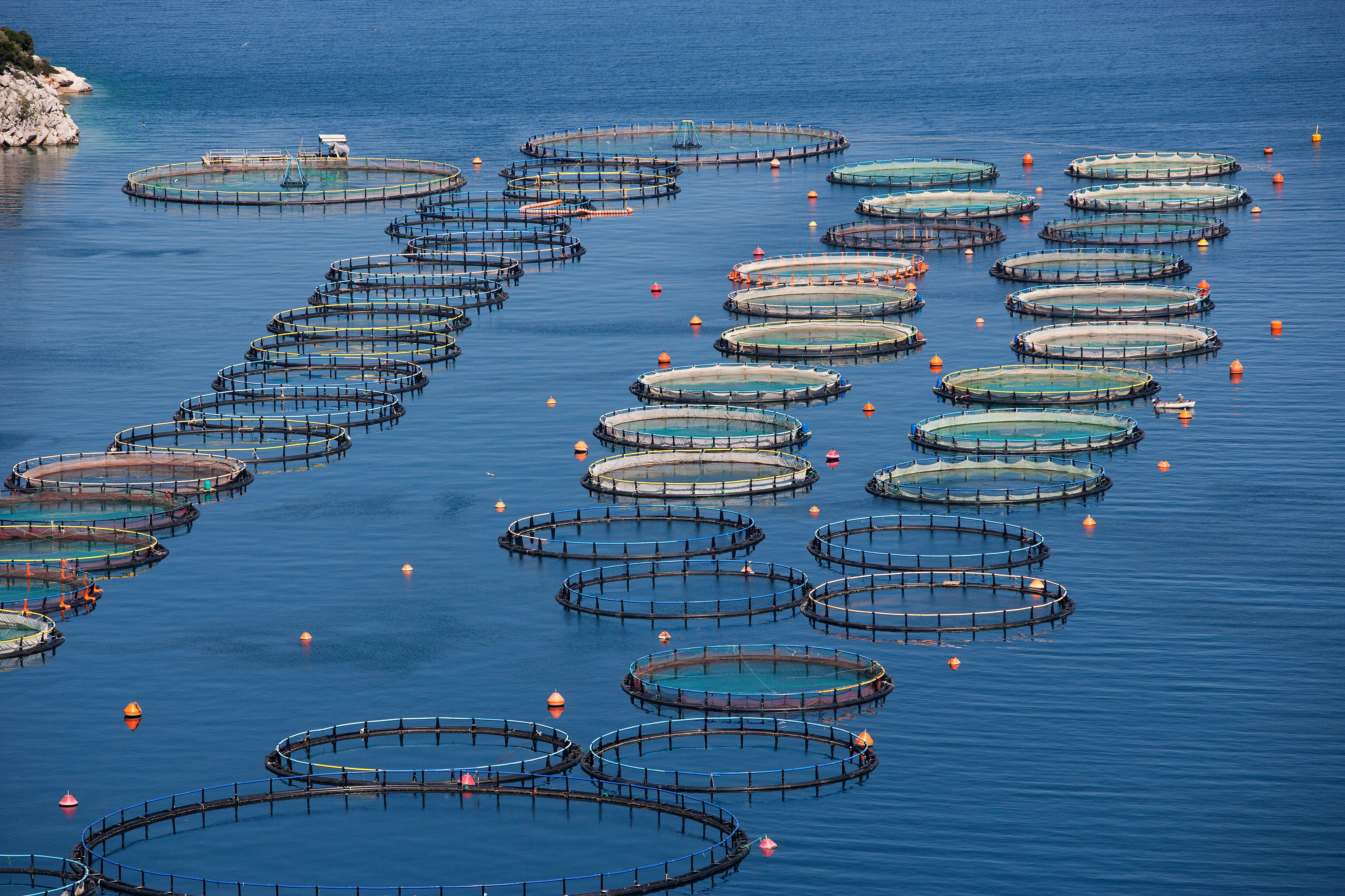 Innovative aquaculture technologies: Offshore, Semi-Closed & Closed Systems
