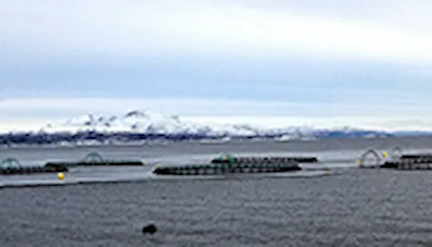 Serviceverksted