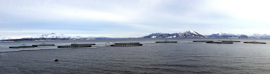 Oppdrettsanlegg nord i Norge