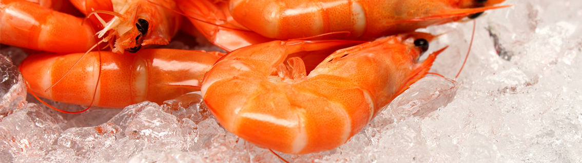 Boiled shrimp on ice