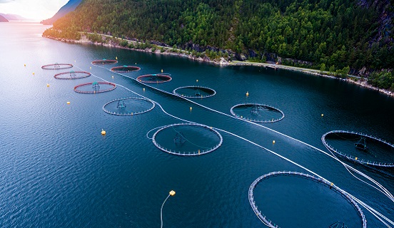 Sustainable Aquaculture