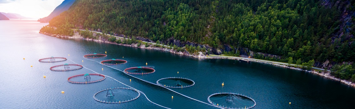 Sustainable Aquaculture