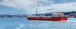 Maritime Carbon Footprint and Life Cycle Assessment