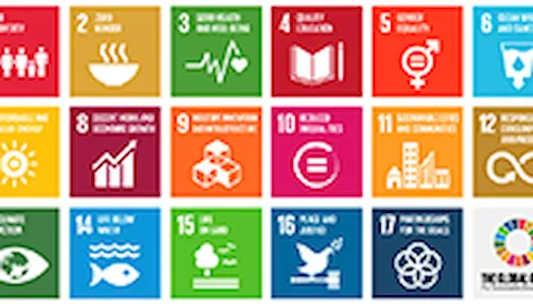 How do you contribute to sustainability?
